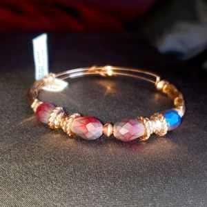 NWT Alex & Ani bangle